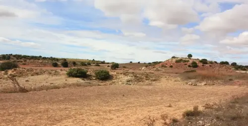 2.1-La-Manchuela-Fuentealbilla01