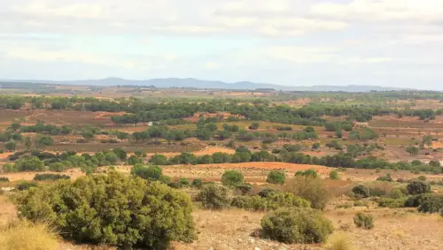 2.1-La-Manchuela-Fuentealbilla02