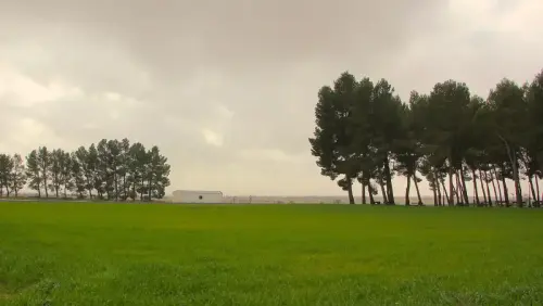 2.1-La-Manchuela-Golosalvo01