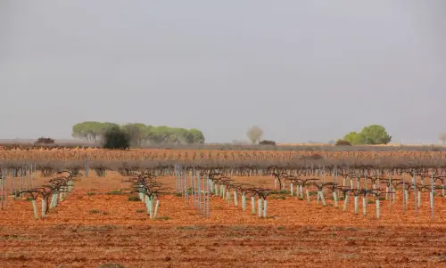 2.1-La-Manchuela-Golosalvo02