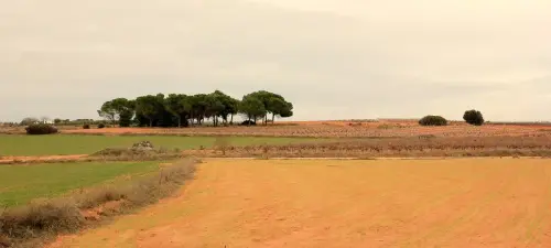 2.1-La-Manchuela-Madrigueras01