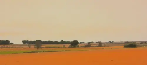 2.1-La-Manchuela-Madrigueras02