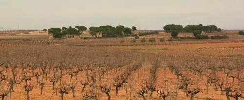 2.1-La-Manchuela-Madrigueras03