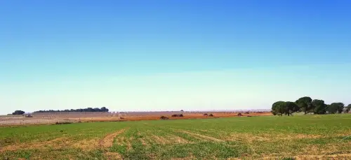 2.1-La-Manchuela-Mahora01