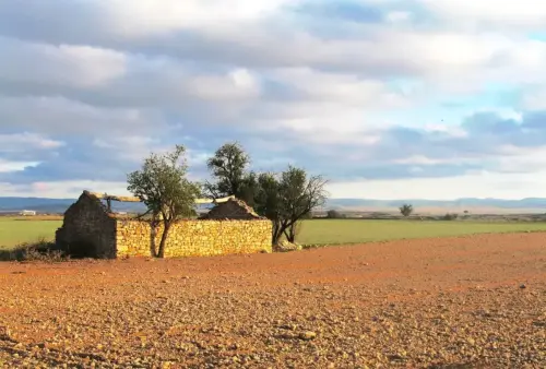 2.1-La-Manchuela-Mahora02