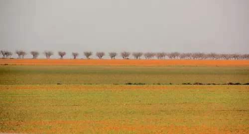 2.1-La-Manchuela-Navas-de-Jorquera02