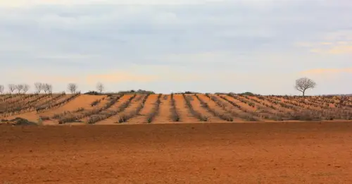2.1-La-Manchuela-Navas-de-Jorquera03