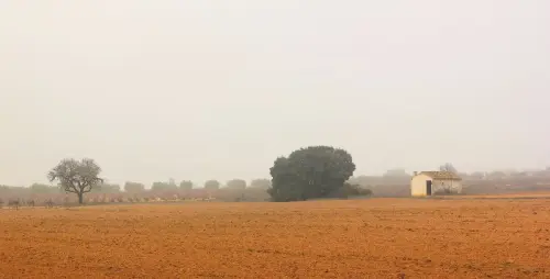 2.2-La-Manchuela-Abengibre02