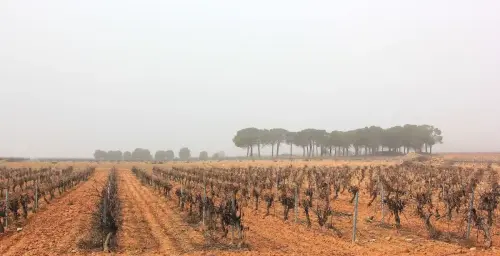 2.2-La-Manchuela-Abengibre03