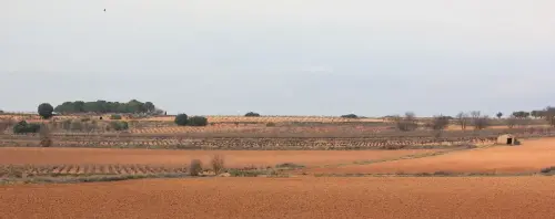 2.2-La-Manchuela-Alborea01