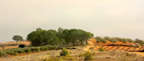 2.2-La-Manchuela-Alborea02