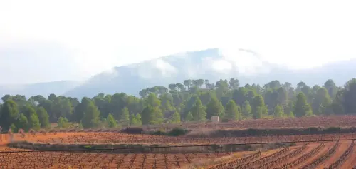 2.2-La-Manchuela-Alborea03