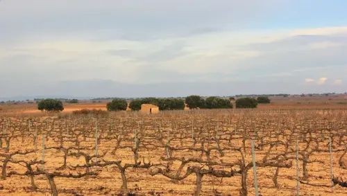 2.2-La-Manchuela-Casas-Ibanez01