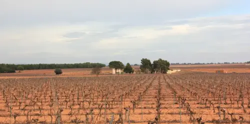 2.2-La-Manchuela-Casas-Ibanez02