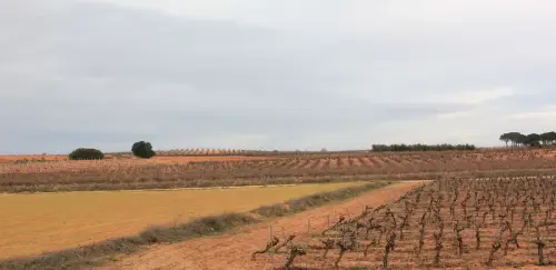 2.2-La-Manchuela-Casas-Ibanez03