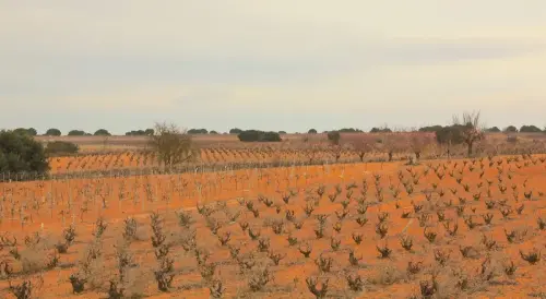 2.2-La-Manchuela-Casas-Ibanez04