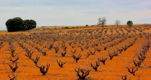 2.2-La-Manchuela-Casas-Ibanez05