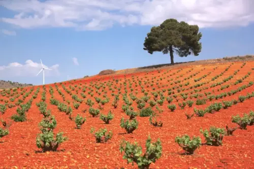 2.2-La-Manchuela-Casas-Ibanez06