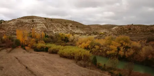 2.2-La-Manchuela-Jorquera09-Ribera-de-Cubas