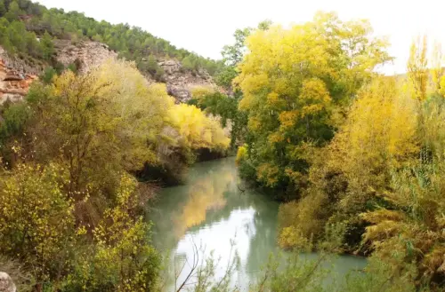 2.2-La-Manchuela-Jorquera11-Ribera-de-Cubas