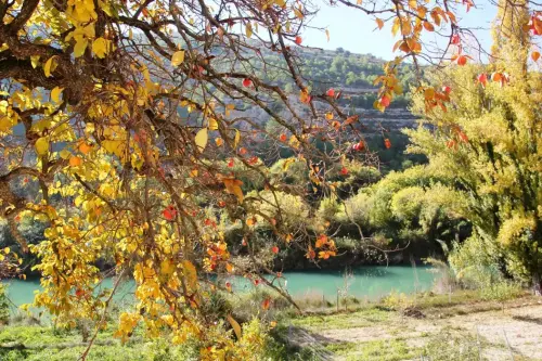 2.2-La-Manchuela-Jorquera12-Ribera-de-Cubas