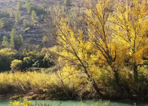 2.2-La-Manchuela-Jorquera13-Ribera-de-Cubas