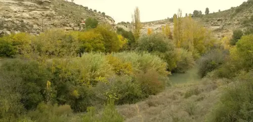 2.2-La-Manchuela-Jorquera17-Ribera-de-Cubas