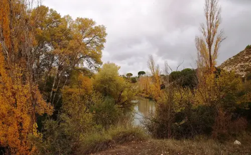 2.2-La-Manchuela-Jorquera18-Ribera-de-Cubas
