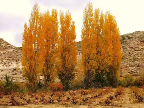 2.2-La-Manchuela-Valdeganga05