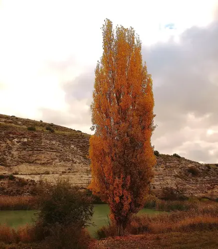 2.2-La-Manchuela-Valdeganga06