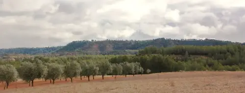 2.2-La-Manchuela-Villamalea07-La-Ceja