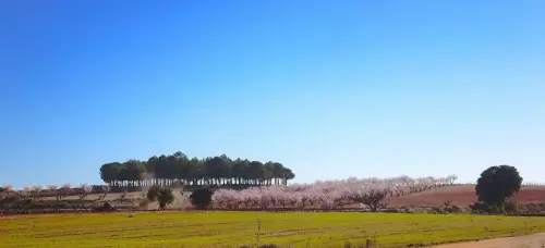 2.2-La-Manchuela-Villamalea09-Los-Asensios