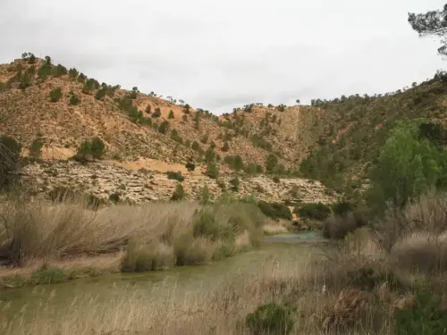 2.2-La-Manchuela-Villatoya04-Cilanco