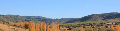 7.1-Trasierra-Casas-de-Lazaro02-El-Batan-de-Abajo