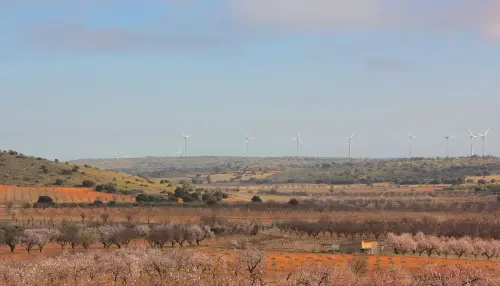 7.1-Trasierra-Penas-de-San-Pedro06