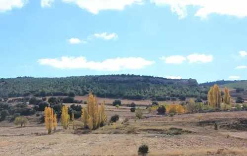 7.1-Trasierra-Penas-de-San-Pedro10-El-Sahuco