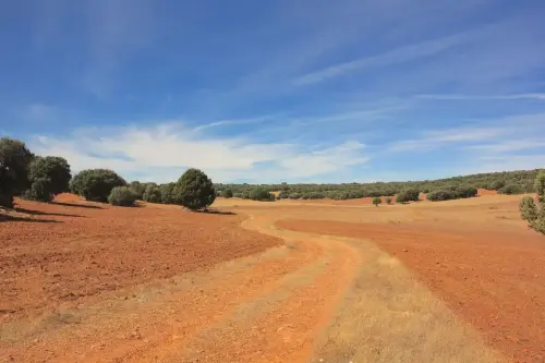 7.1-Trasierra-Robledo01-El-Charcon-Canada-del-Charco