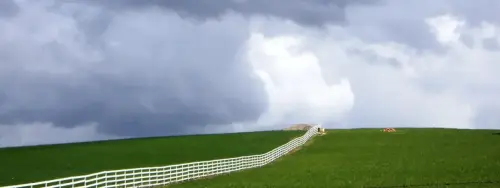 7.1-Trasierra-Robledo02-Ganaderia-Los-Chospes