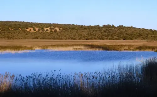 7.1-Trasierra-Robledo03-Laguna-Ojos-de-Villaverde