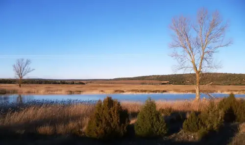 7.1-Trasierra-Robledo04-Laguna-Ojos-de-Villaverde