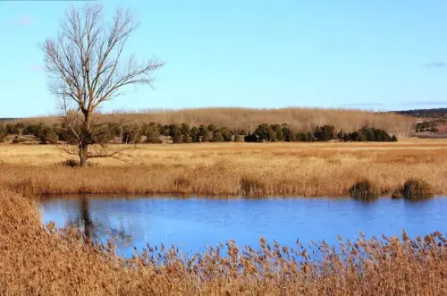 7.1-Trasierra-Robledo06-Laguna-Ojos-de-Villaverde5