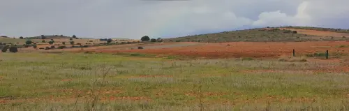 7.1-Trasierra-San-Pedro02