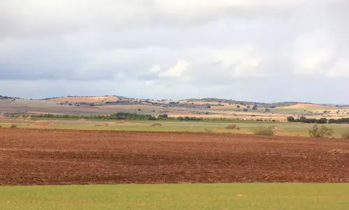 7.1-Trasierra-San-Pedro03