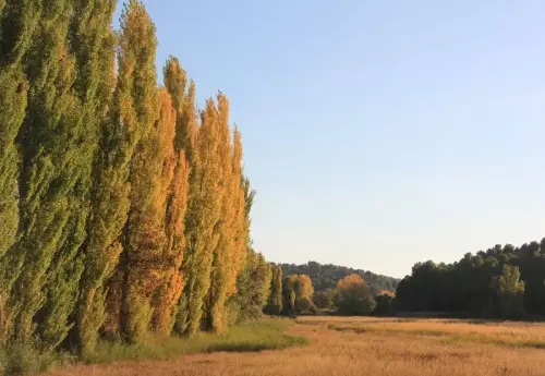 7.1-Trasierra-San-Pedro05-Rio-del-Jardin