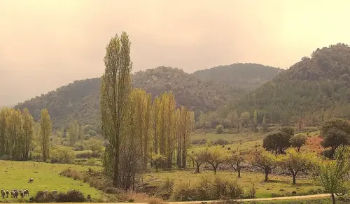 7.2-Sierra-de-Alcaraz-Alcaraz07-Valle-de-La-Mesta