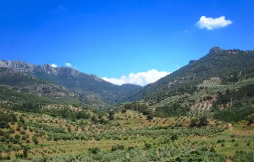 7.2-Sierra-de-Alcaraz-Bienservida02-Valle-del-rio-Turruchel