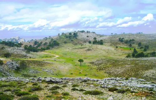 7.2-Sierra-de-Alcaraz-Bienservida03
