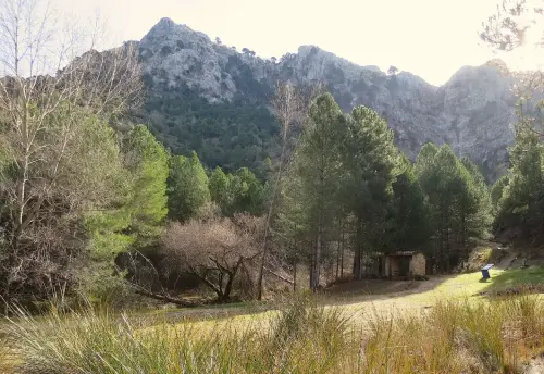 7.2-Sierra-de-Alcaraz-Bienservida04