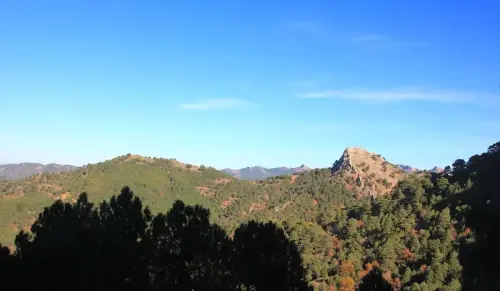 7.2-Sierra-de-Alcaraz-Bienservida06