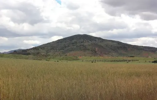 7.2-Sierra-de-Alcaraz-Bienservida12-Cerro-Vico